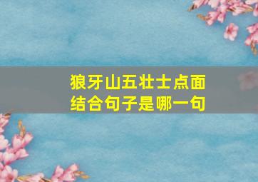 狼牙山五壮士点面结合句子是哪一句