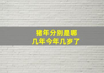 猪年分别是哪几年今年几岁了