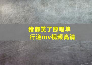 猪都笑了原唱单行道mv视频高清