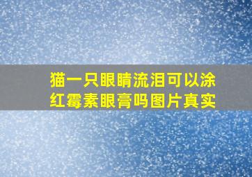 猫一只眼睛流泪可以涂红霉素眼膏吗图片真实