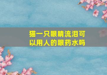 猫一只眼睛流泪可以用人的眼药水吗