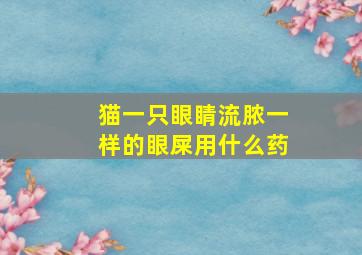 猫一只眼睛流脓一样的眼屎用什么药