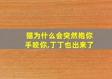 猫为什么会突然抱你手咬你,丁丁也出来了