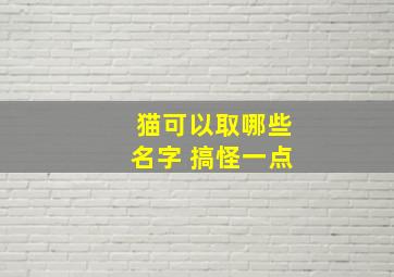 猫可以取哪些名字 搞怪一点