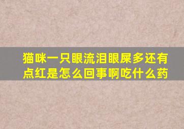 猫咪一只眼流泪眼屎多还有点红是怎么回事啊吃什么药