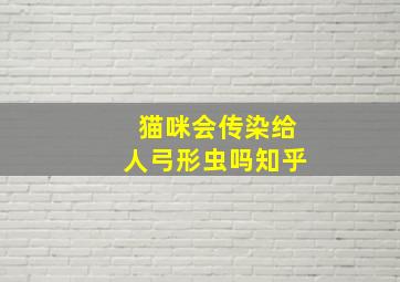 猫咪会传染给人弓形虫吗知乎