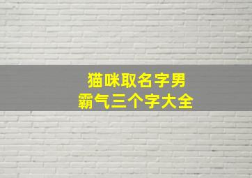 猫咪取名字男霸气三个字大全