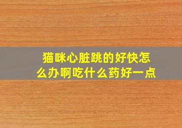 猫咪心脏跳的好快怎么办啊吃什么药好一点