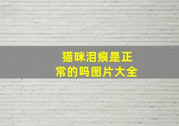 猫咪泪痕是正常的吗图片大全