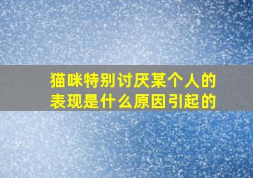 猫咪特别讨厌某个人的表现是什么原因引起的