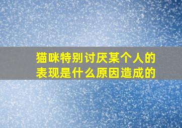 猫咪特别讨厌某个人的表现是什么原因造成的