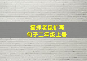 猫抓老鼠扩写句子二年级上册