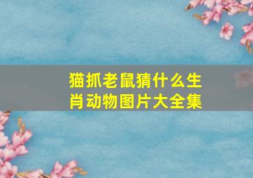 猫抓老鼠猜什么生肖动物图片大全集