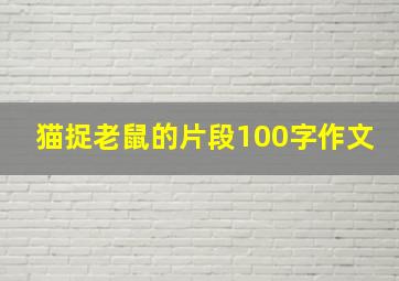 猫捉老鼠的片段100字作文