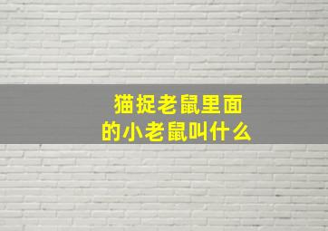 猫捉老鼠里面的小老鼠叫什么