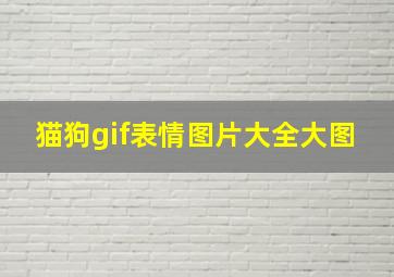 猫狗gif表情图片大全大图