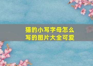 猫的小写字母怎么写的图片大全可爱