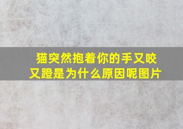 猫突然抱着你的手又咬又蹬是为什么原因呢图片