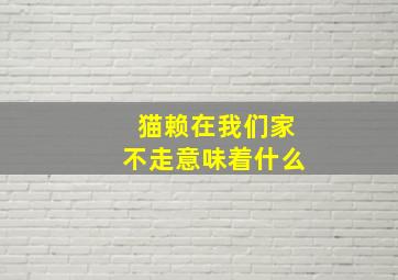 猫赖在我们家不走意味着什么