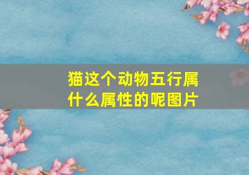 猫这个动物五行属什么属性的呢图片