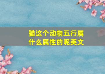 猫这个动物五行属什么属性的呢英文