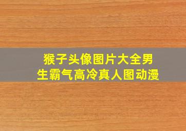 猴子头像图片大全男生霸气高冷真人图动漫