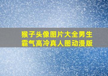 猴子头像图片大全男生霸气高冷真人图动漫版