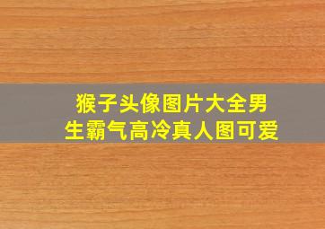 猴子头像图片大全男生霸气高冷真人图可爱