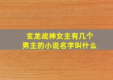 玄龙战神女主有几个男主的小说名字叫什么