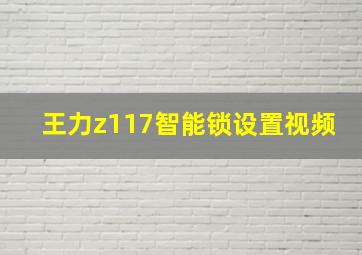 王力z117智能锁设置视频