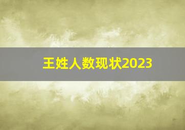 王姓人数现状2023