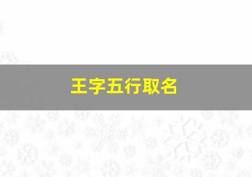 王字五行取名