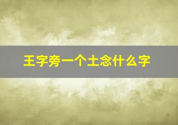 王字旁一个土念什么字