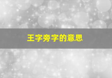 王字旁字的意思