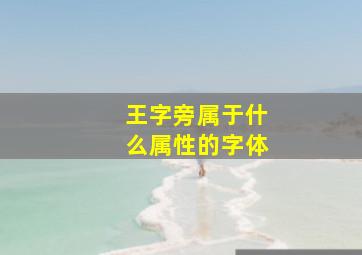 王字旁属于什么属性的字体