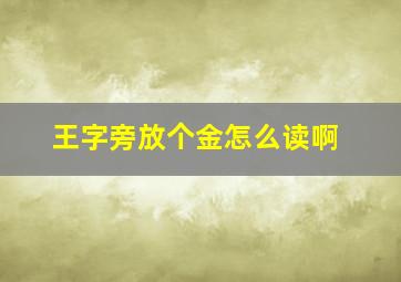 王字旁放个金怎么读啊