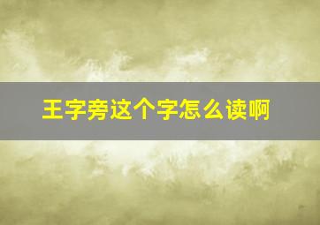 王字旁这个字怎么读啊