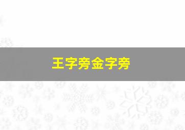 王字旁金字旁