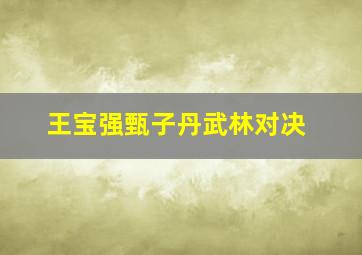 王宝强甄子丹武林对决