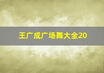 王广成广场舞大全20