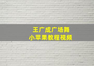 王广成广场舞小苹果教程视频