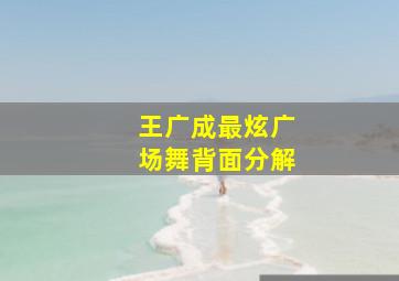 王广成最炫广场舞背面分解