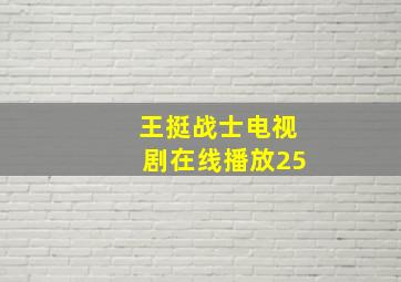 王挺战士电视剧在线播放25