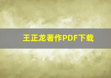 王正龙著作PDF下载