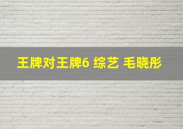 王牌对王牌6 综艺 毛晓彤