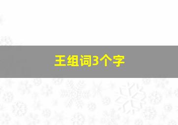 王组词3个字