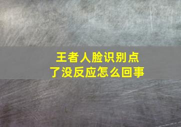 王者人脸识别点了没反应怎么回事