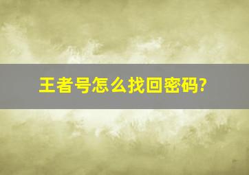 王者号怎么找回密码?