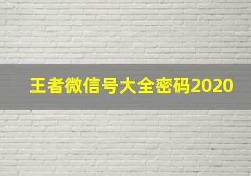 王者微信号大全密码2020