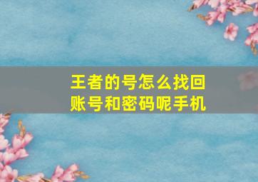 王者的号怎么找回账号和密码呢手机